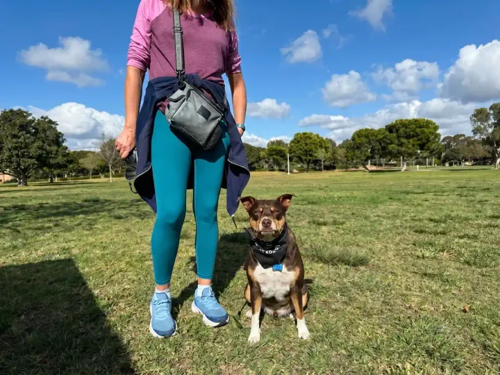 Off-Leash Reliability for Los Angeles Dog Owners