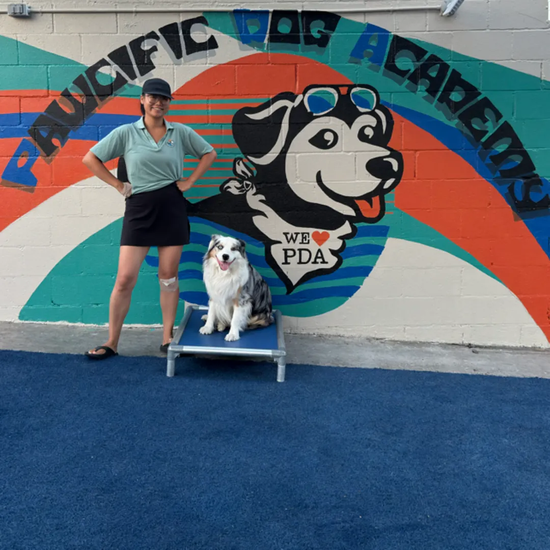 What's actually included in reactive dog training at Pawcific Dog Academy Anaheim